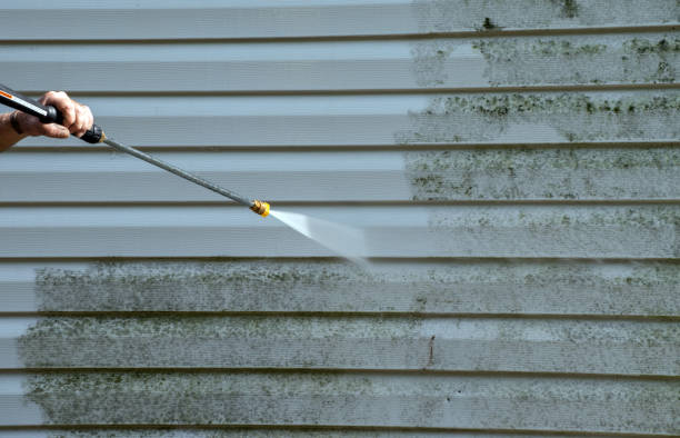 Mold Testing and Removal in Wahpeton, ND