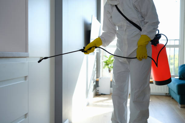 Best Professional Mold Removal  in Wahpeton, ND