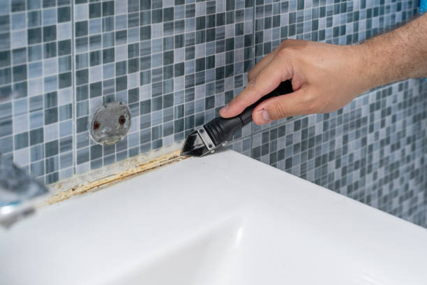 Best Commercial Mold Removal  in Wahpeton, ND