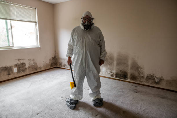 Crawl Space Mold Removal in Wahpeton, ND